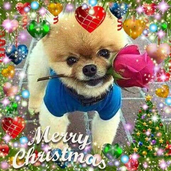 I buy, not sell. ;) - Picture 1 of 1